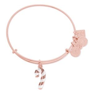 Alex and Ani Rose Gold Bracelet